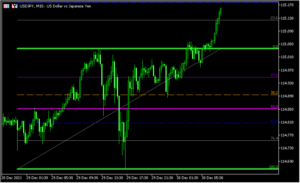 前日の高値安値にフィボナッチを引く「CandlesAutoFibo_Grand」